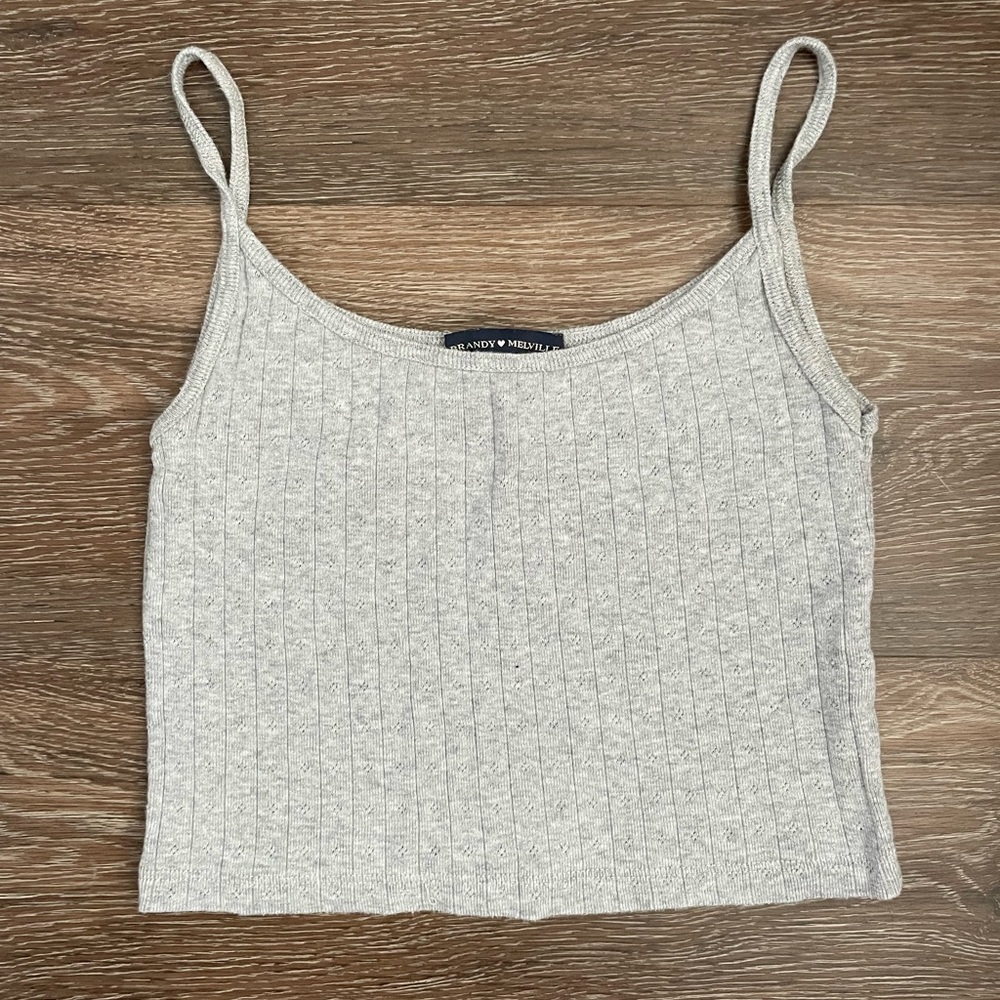 Grey Brandy Melville Skylar tank